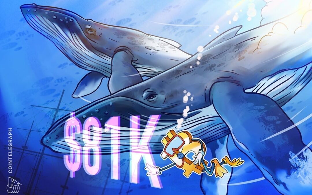 Bitcoin whales accumulate trends reflect bullish activity in the 2020 era, with BTC price popping up $81K