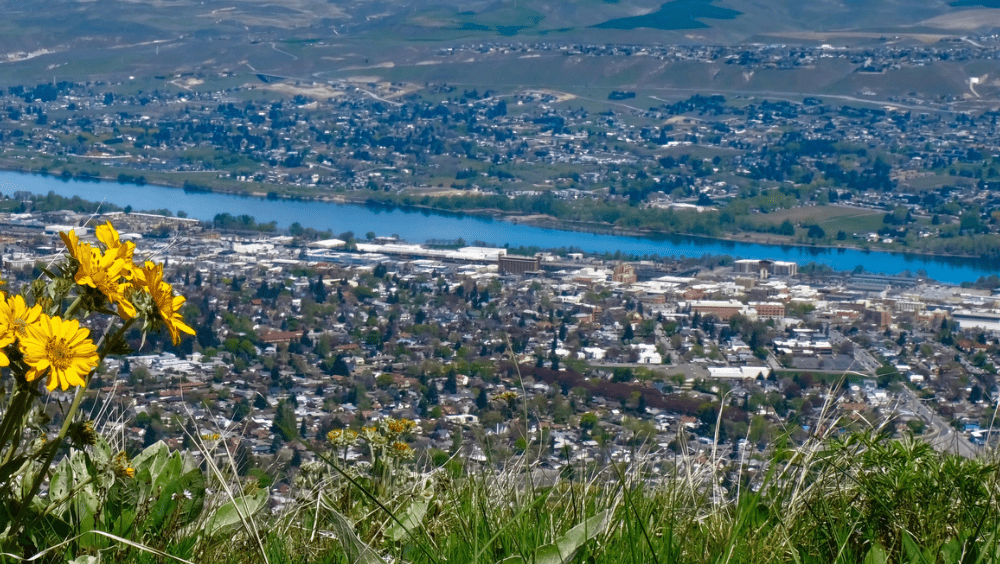 How to find cash home buyers at Wenatchee