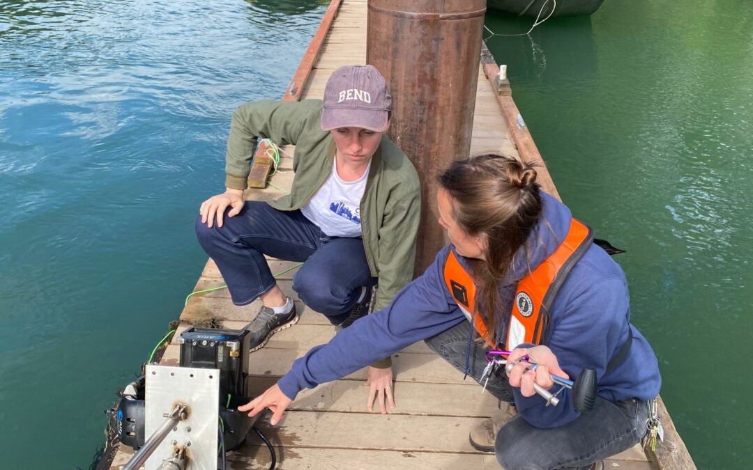 Simplify data collection for improving salmon population management | MIT News