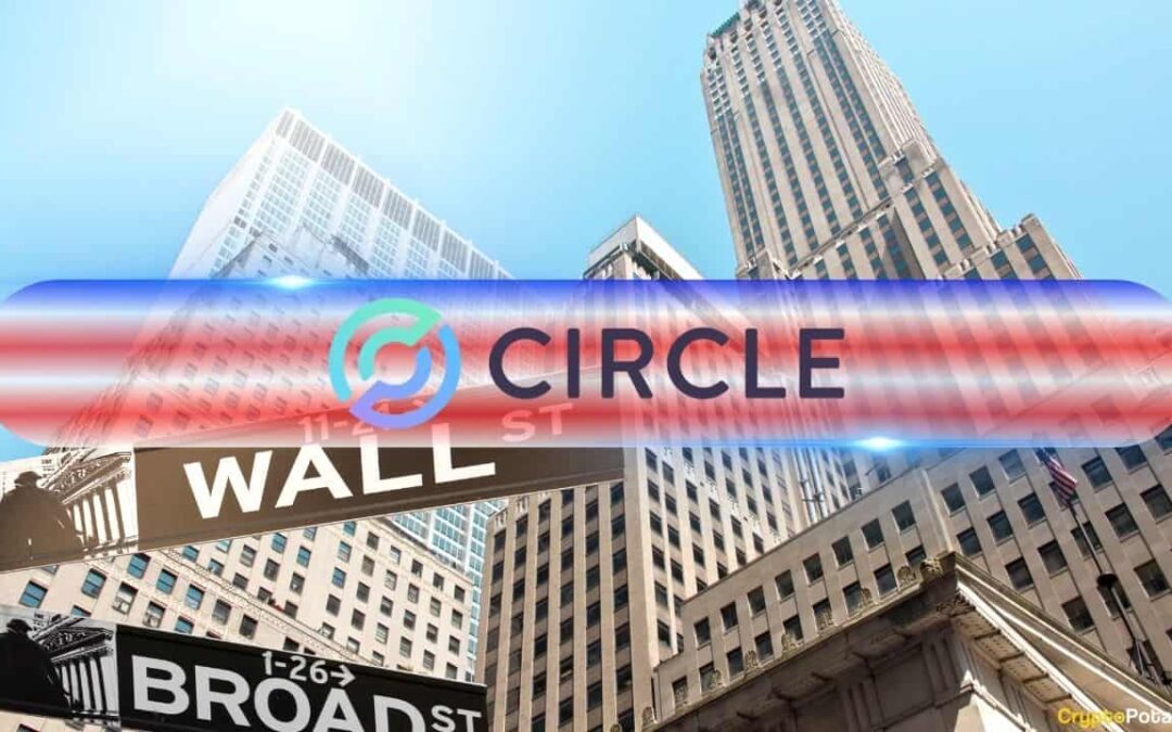 Stablecoin issuer circle documents perform IPO after large revenue report