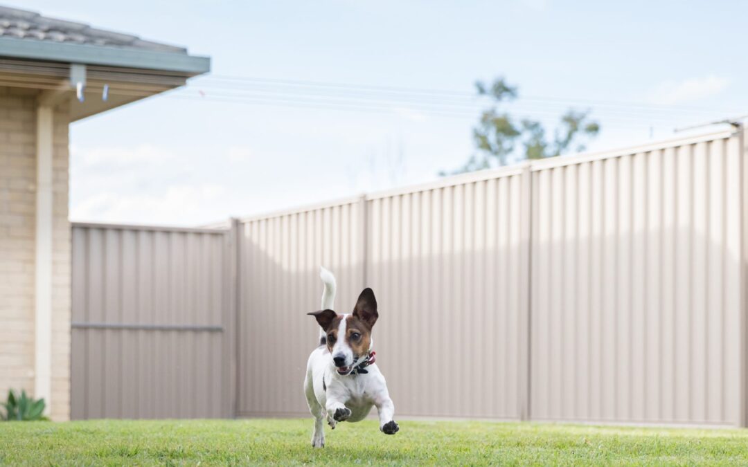 ColorBond Fence: Cost, Installation and Benefits