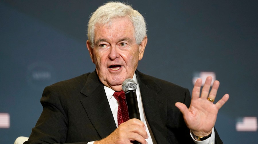 Gingrich praises Trump for expanding olive branches to Syria