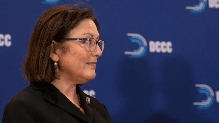 Suzan DelBene DCCC png