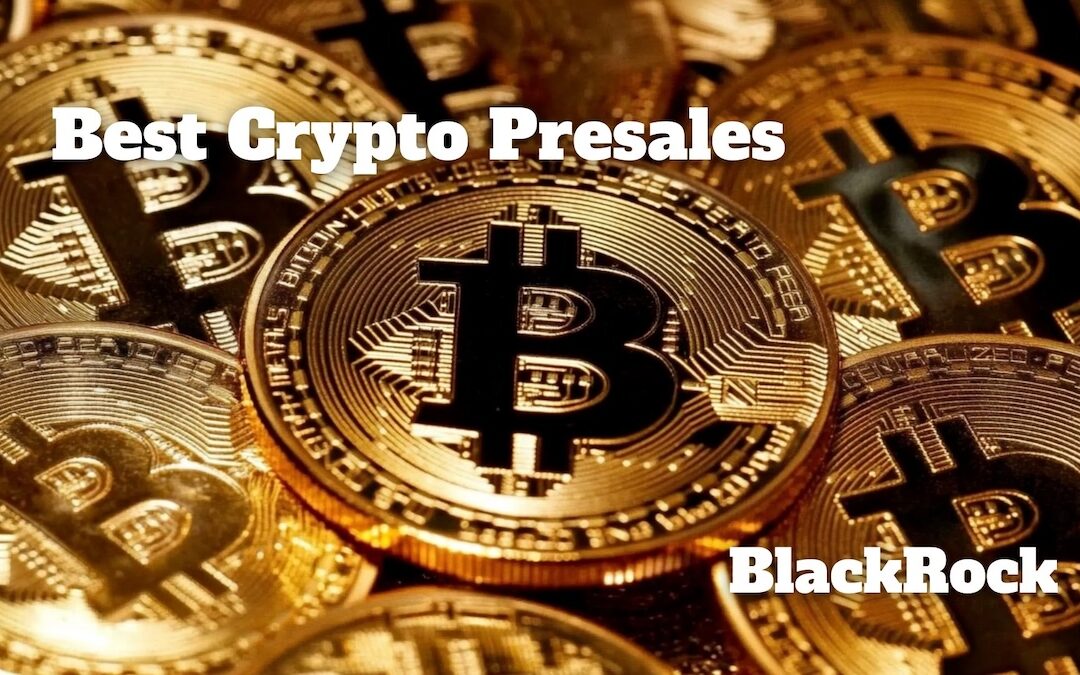 BlackRock’s Mitchnick says Bitcoin and cryptocurrencies come back the best pre-sale