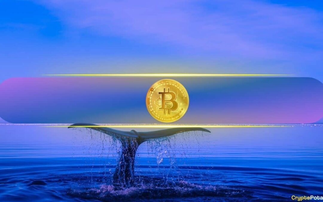 New queues have increased 3.1% of BTC supply since March