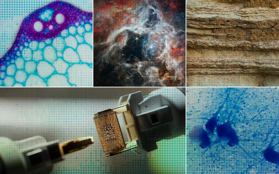 AI accelerates scientific discovery | MIT News
