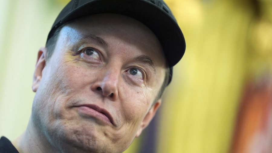 Musk’s preference dropped to 23%: Survey