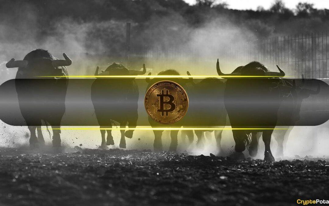 Bitcoin slows down, but Fall 2025 may ignite its biggest rally