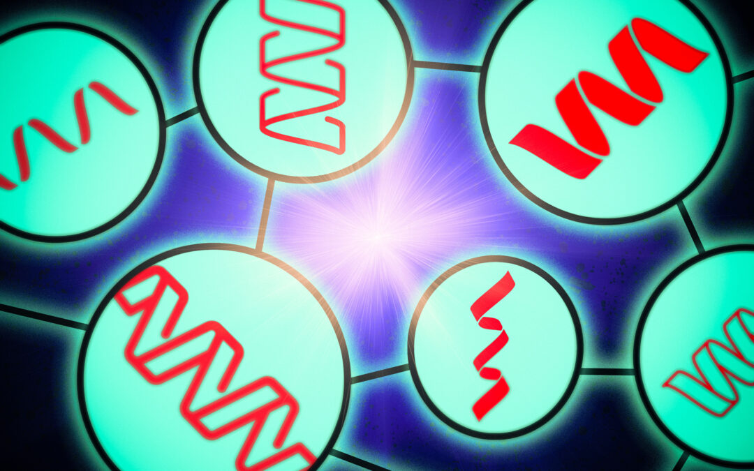 Researchers glimpse into the inner workings of protein language models | MIT News