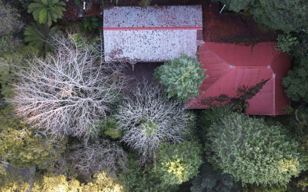 5 bidders fight for Australia’s cheapest homes