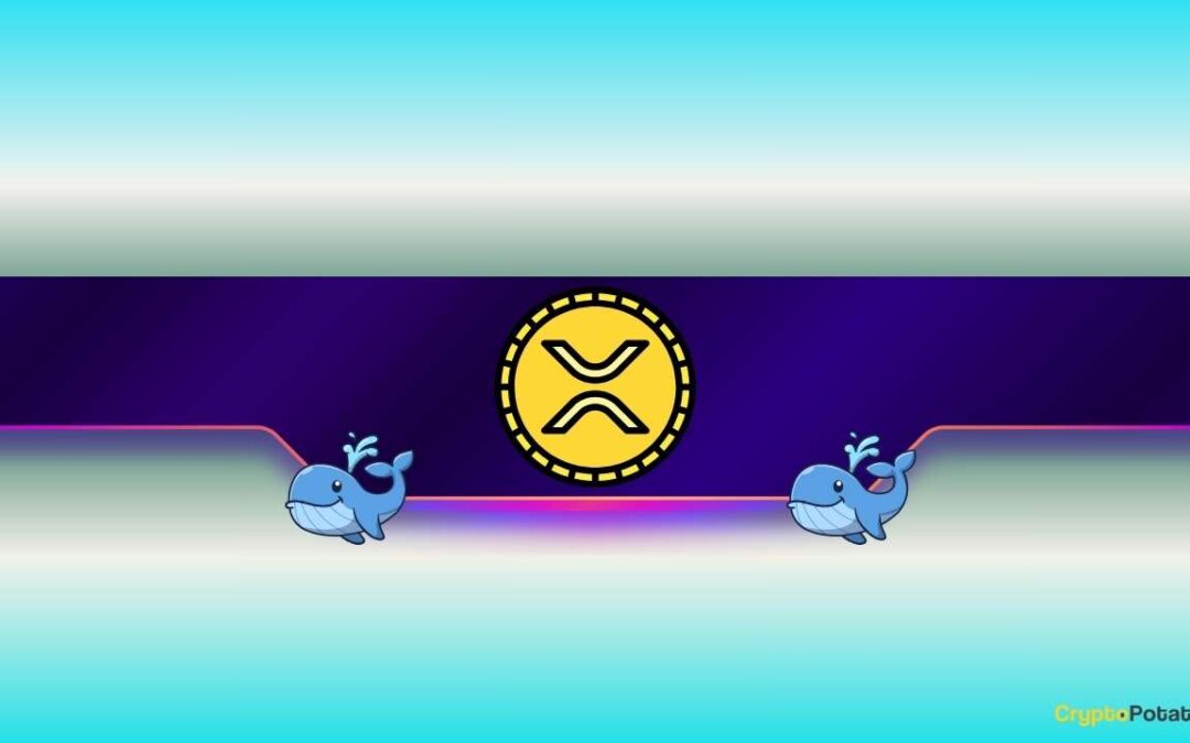 XRP CB jpg