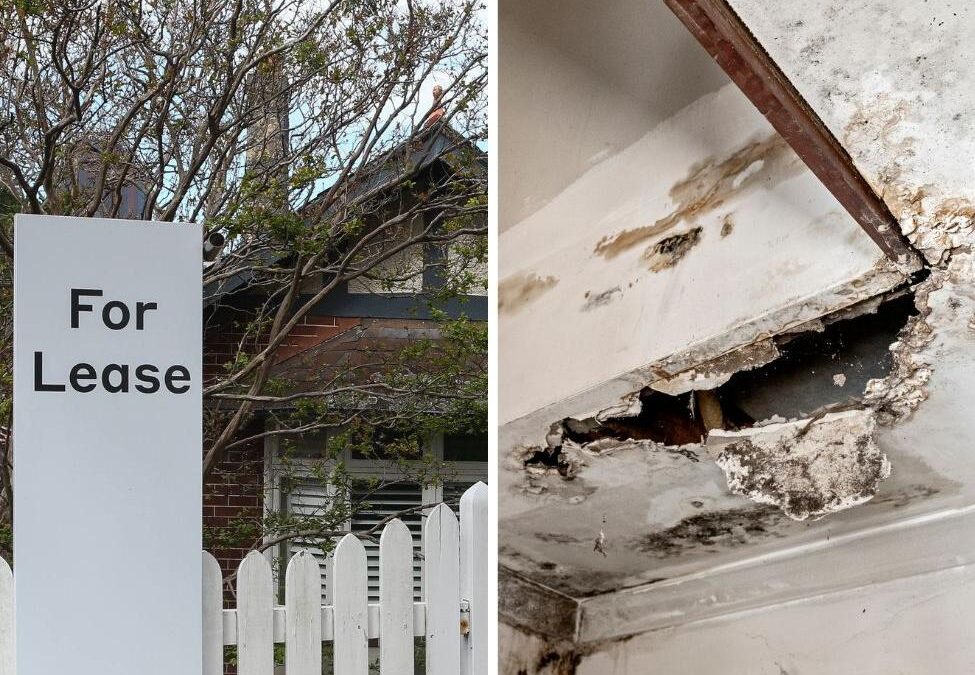 The dirty truth behind the rise of horrible living conditions in rental houses