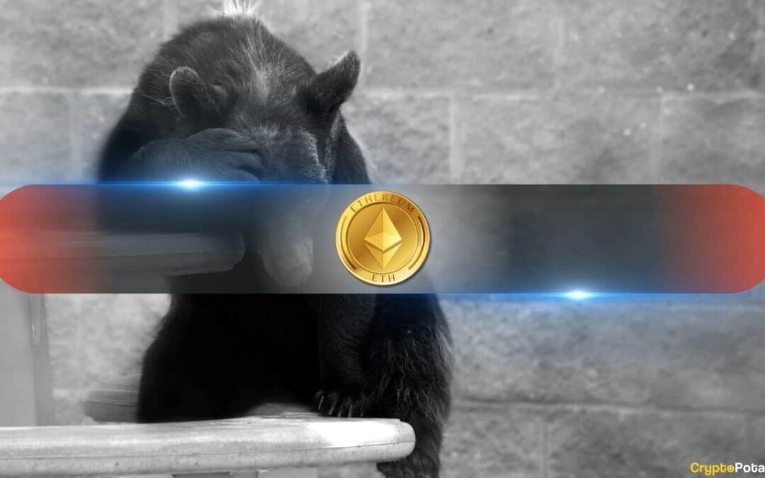eth bear sad cover jpg