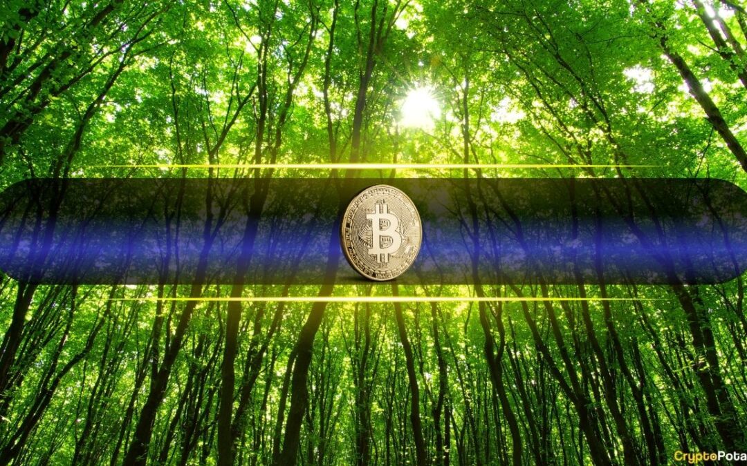 bitcoin green cover jpg