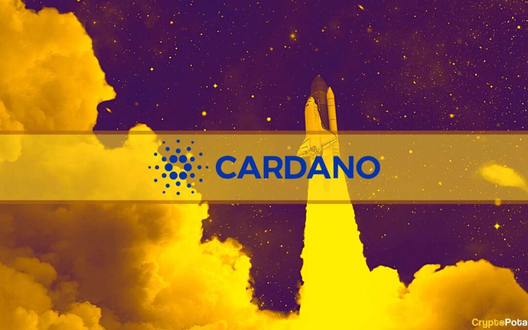 cardano rocket cover jpg